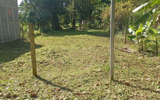 Vacant Lot for Sale in Cahuita, Costa Rica