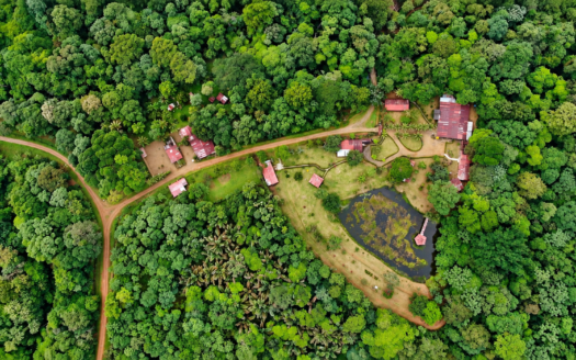 El Zota Biological Station for Sale – 771 Hectares, Costa Rica