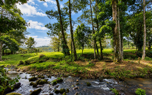 One Hectare Land with Creek for Sale in Guapiles