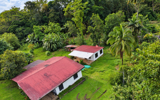 Property with 2 Houses for Sale in Suerres, Pococí