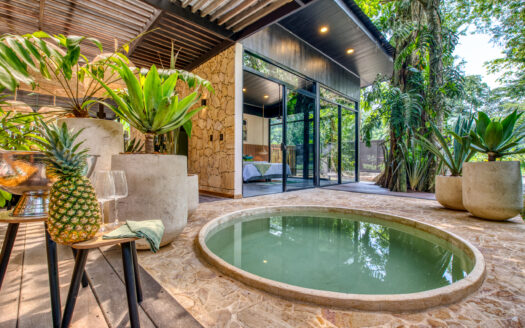 Newly Built 3-Bedroom Villa with Private Pool near Puerto Viejo